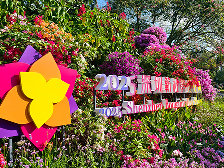 莲花山花展如何“撑起”那一片艺术天空？