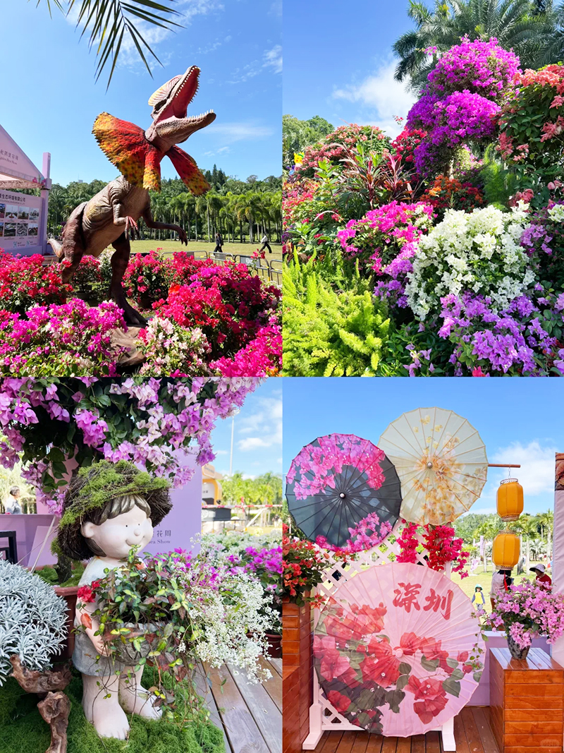 莲花山花展如何“撑起”那一片艺术天空?