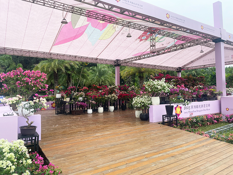 莲花山花展如何“撑起”那一片艺术天空?